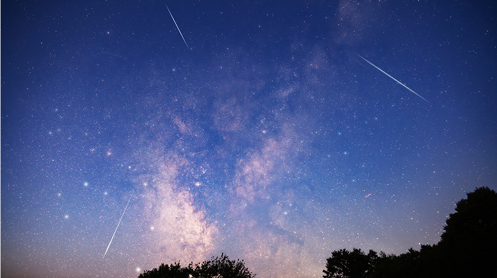 Milky Way stars with meteor shower trails and countryside tree silhouettes.